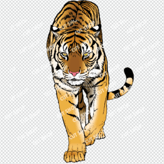 虎のイラスト1・Web用