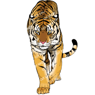 虎のイラスト1