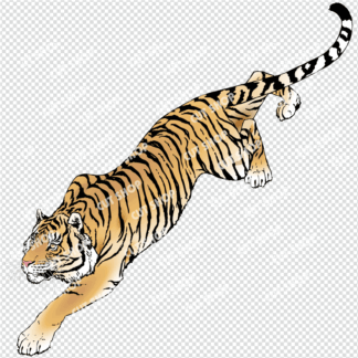 虎のイラスト3・Web用