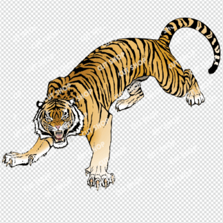 虎のイラスト5・Web用